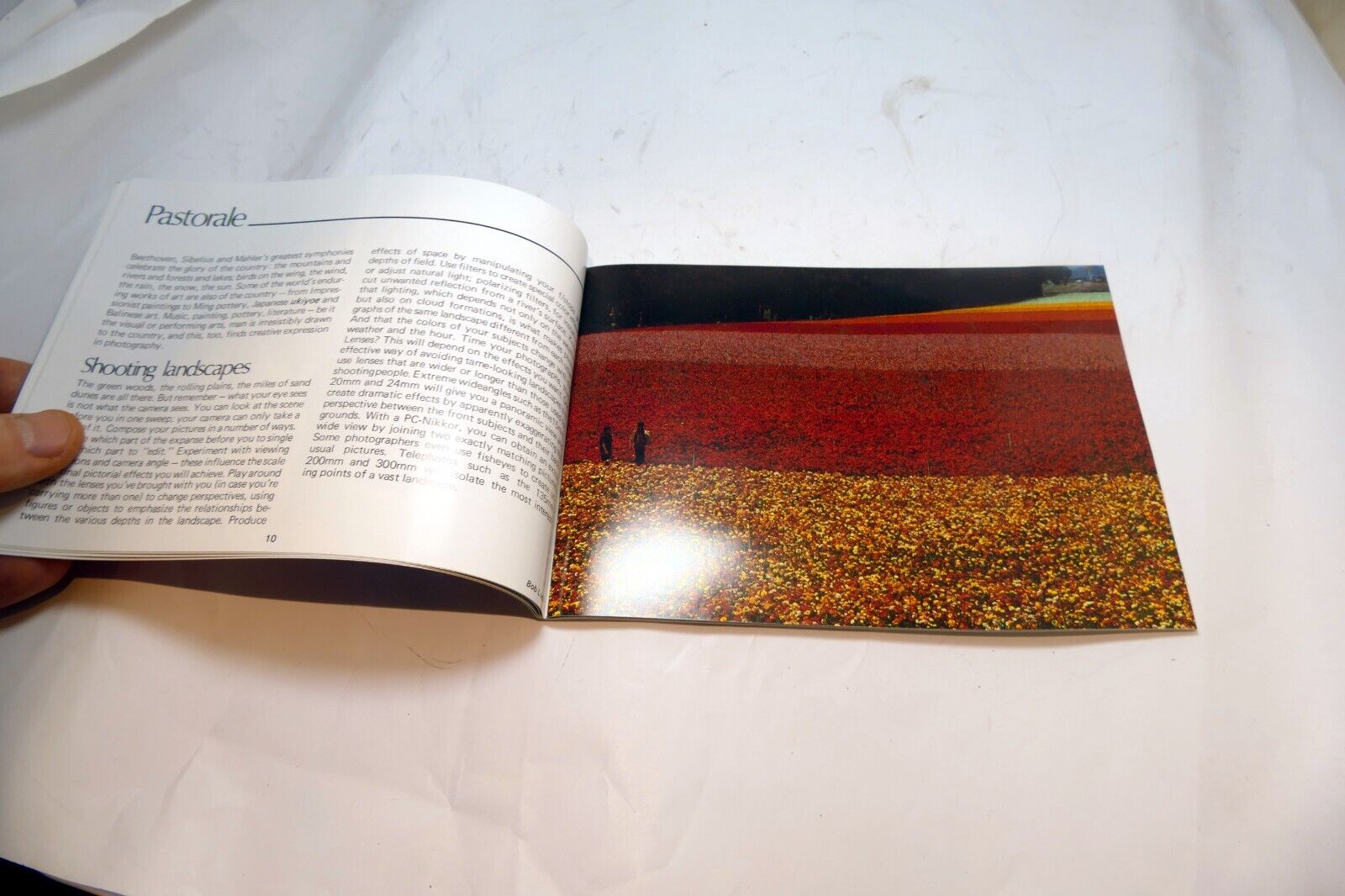 The Nikon  Way to Photography  Brochure 1970's Lens list