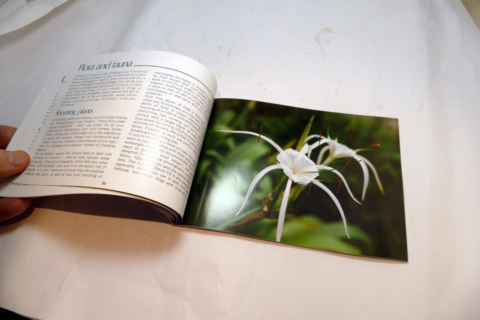 The Nikon  Way to Photography  Brochure 1970's Lens list