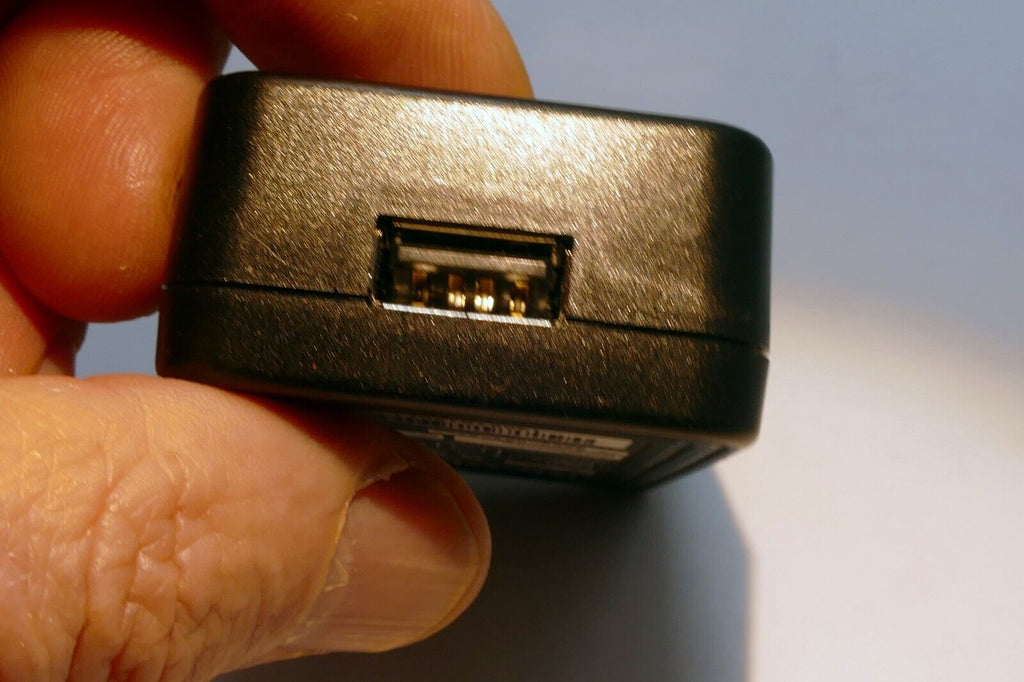 Ricoh Ladegerät AC-U1 Strom Adapter (Fehlende Wand Stecker) - Original