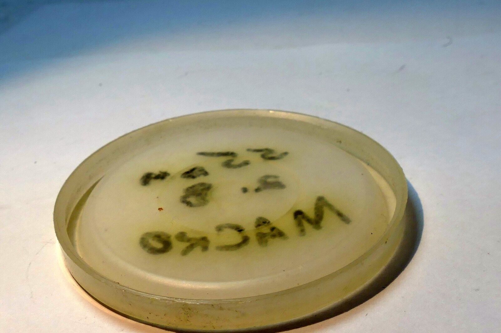 72mm Cap for Nikon Lens Hood Metal  front slip on type fits HN-2, 3 HS-9