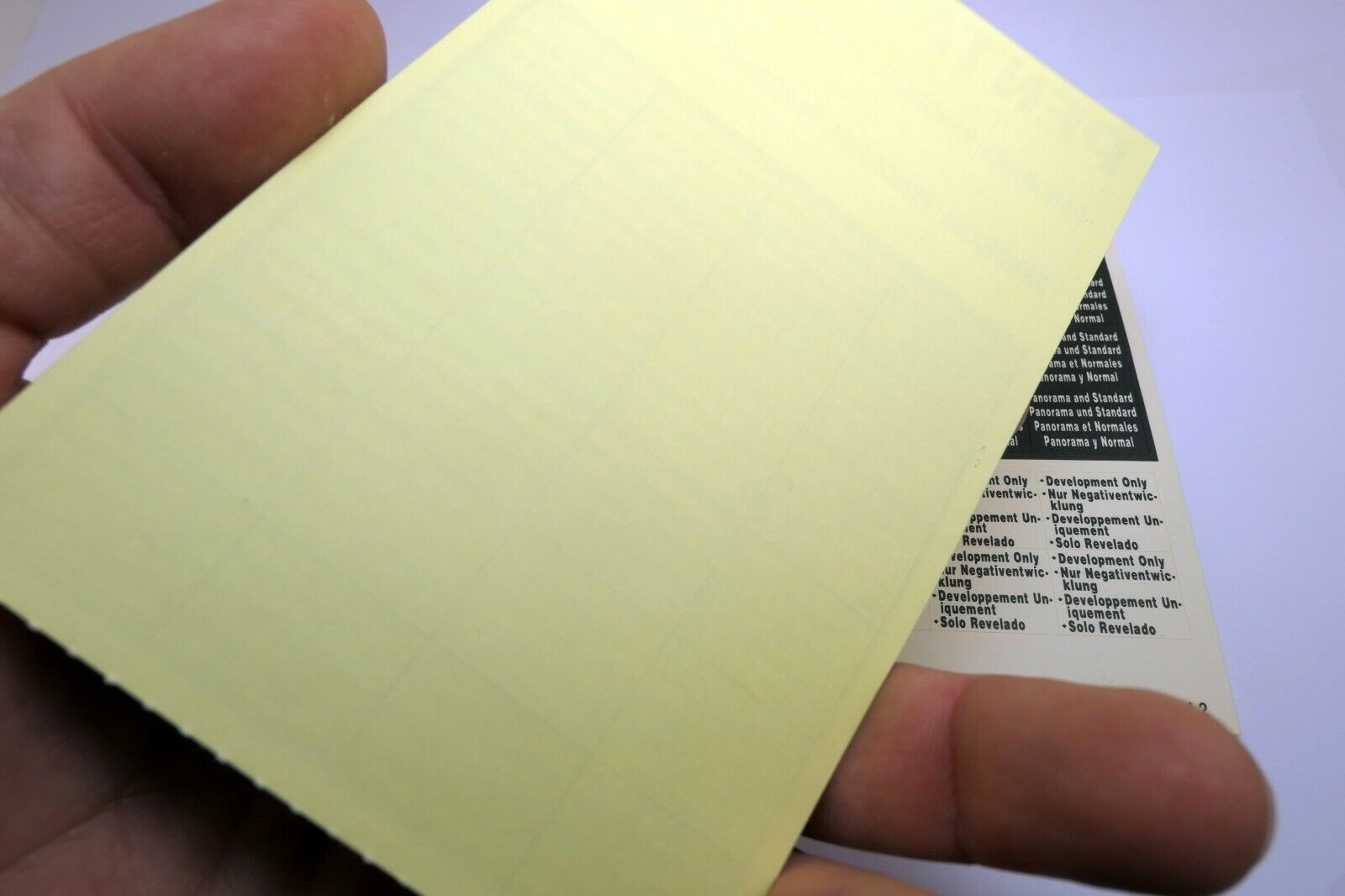 Pentax panorama sticker  for the film roll  IQ zoom series cameras 1989