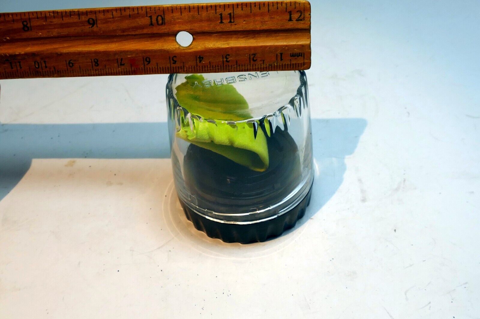 Lensbaby Hard Case for Optic Pinhole Double Glass HTF 50mm lens  - OEM Genuine