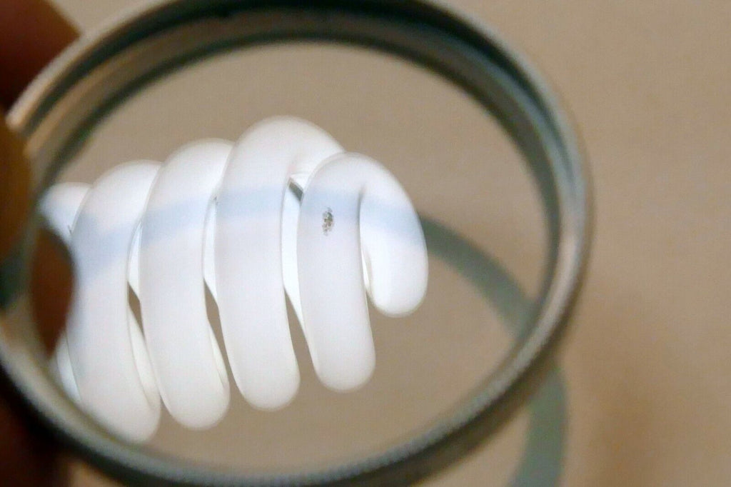 Digital Concepts Optics 40.5mm UV Lens Filter w/ chrome rim