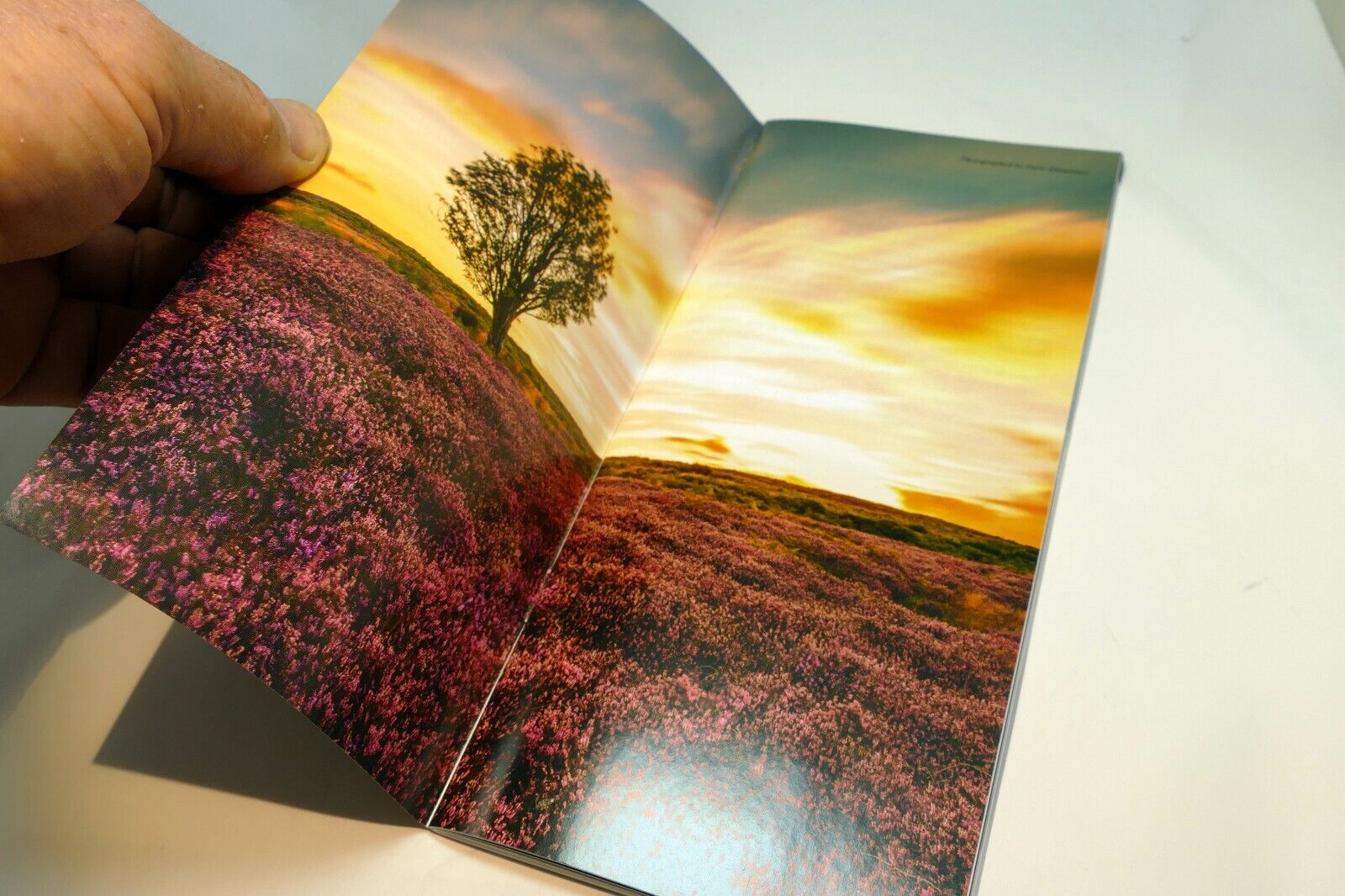 Hoya Filters Sales Brochure Accessory guide CPL Nano ND 2016