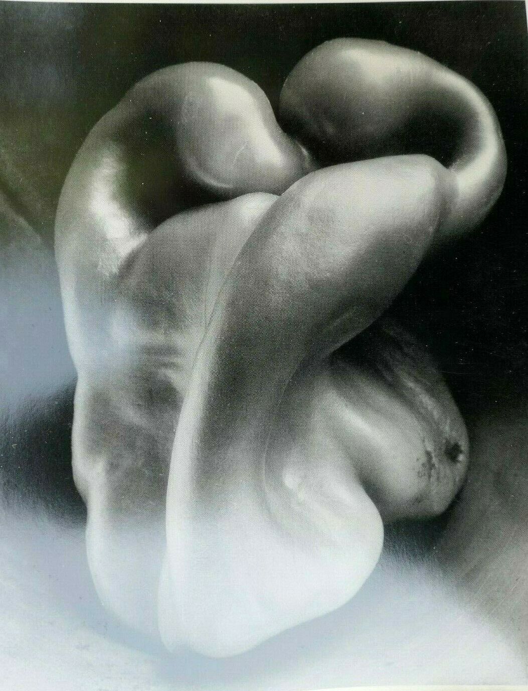 "Pepper" 1930 Photograph by Edward Weston POSTCARD vintage unposted EW-3