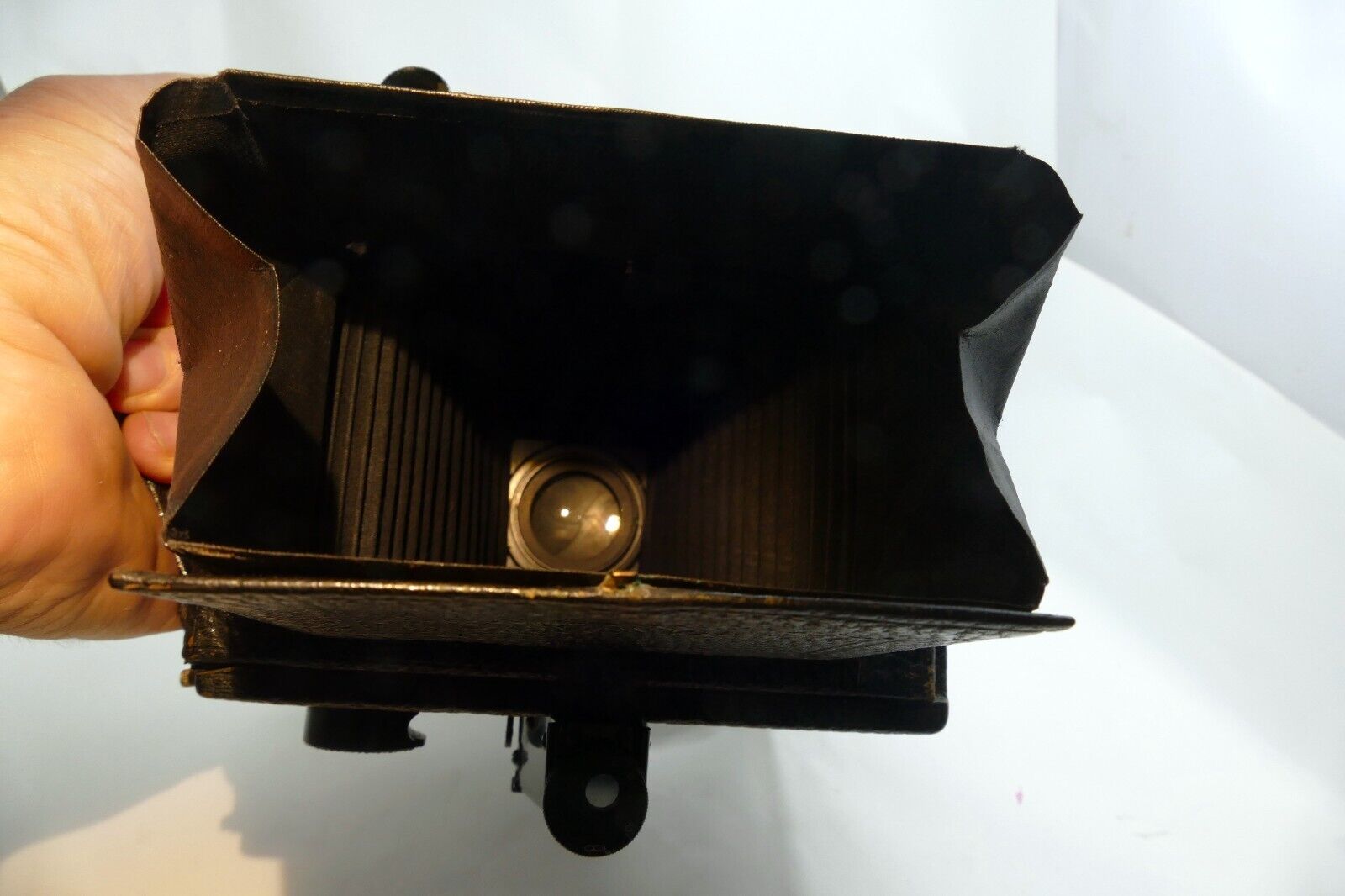 Zeiss Contessa Adoro Nettel Folding camera w/ Carl Jena 15cm f4.5 Lens souped-up