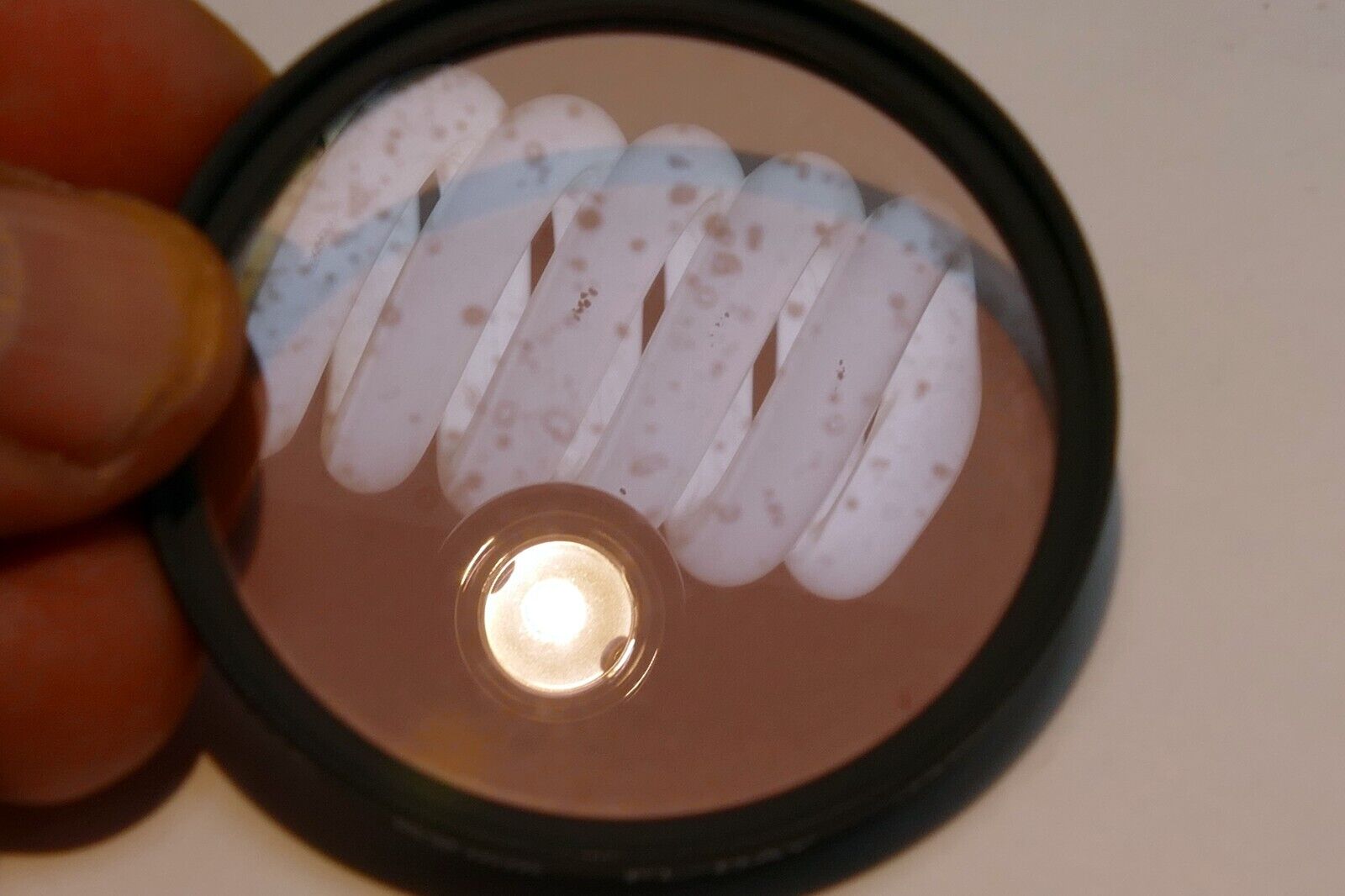 Hoya 52mm Filter FL-Day fluorescent to daylight balancing