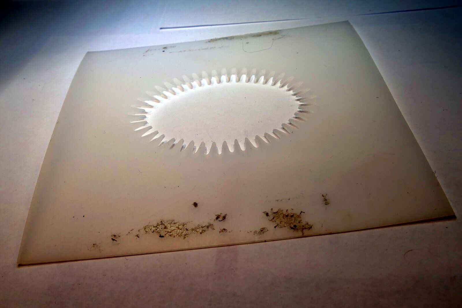 Lindahl Vignette White Mask 5X5" 2.5" Oval Portraiture white high key