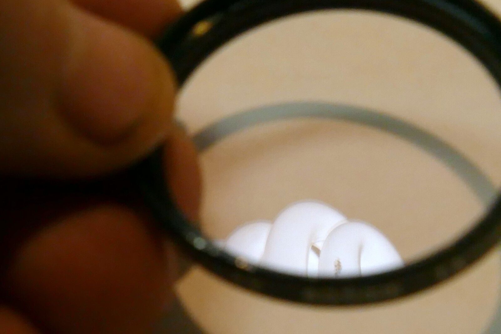 Quantaray Skylight 1A 40.5mm Lens Filter